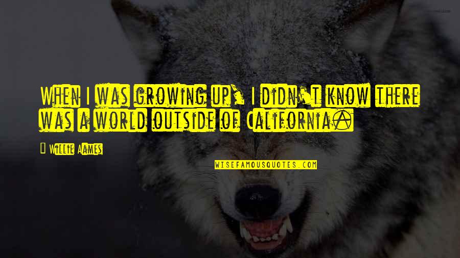 Kasumovic Zapre Ic Quotes By Willie Aames: When I was growing up, I didn't know