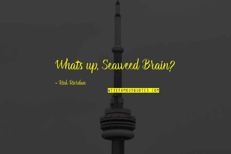 Kata Soekarno Quotes By Rick Riordan: Whats up, Seaweed Brain?