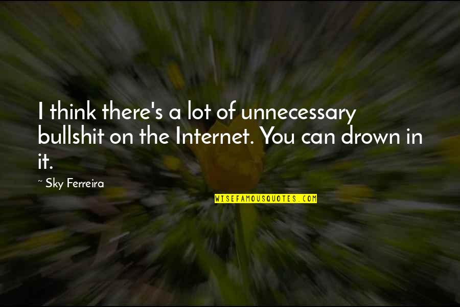 Katahira Philippines Quotes By Sky Ferreira: I think there's a lot of unnecessary bullshit