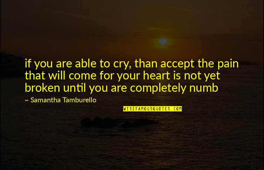 Katakis Metaxirismena Quotes By Samantha Tamburello: if you are able to cry, than accept