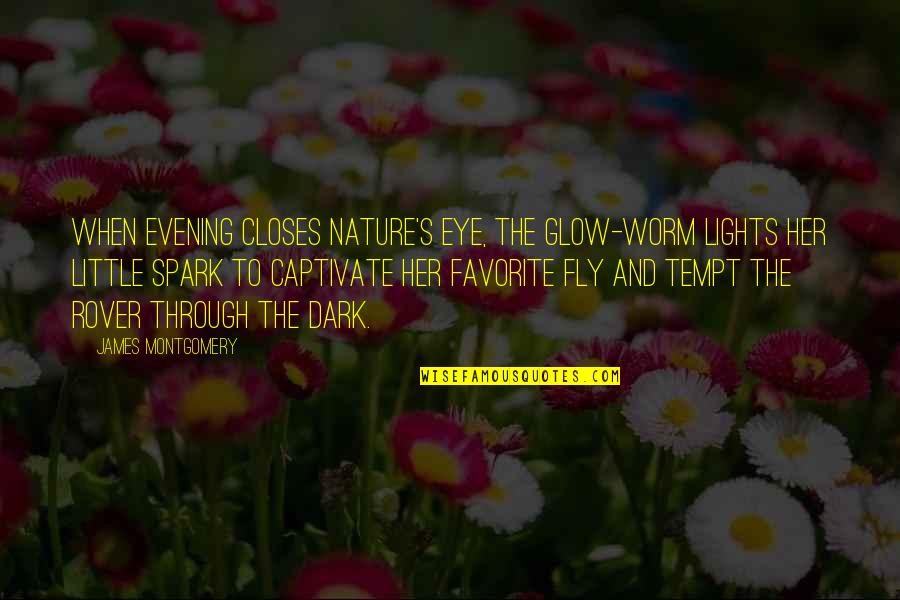 Katayun Dara Quotes By James Montgomery: When evening closes Nature's eye, The glow-worm lights Katayun Dara Quotes By James Montgomery: When evening closes Nature's eye, The glow-worm lights