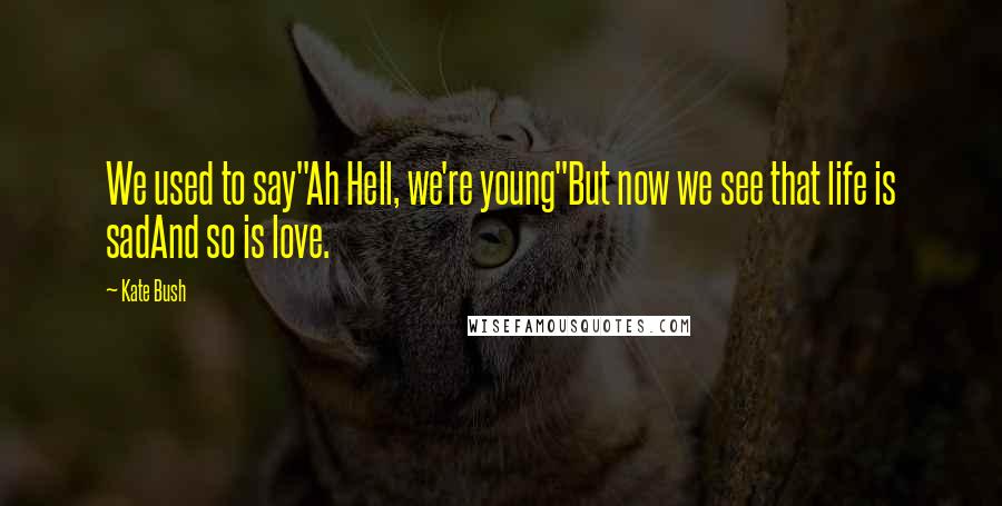 Kate Bush quotes: We used to say"Ah Hell, we're young"But now we see that life is sadAnd so is love.