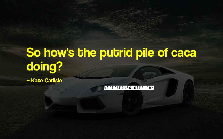 Kate Carlisle quotes: So how's the putrid pile of caca doing?