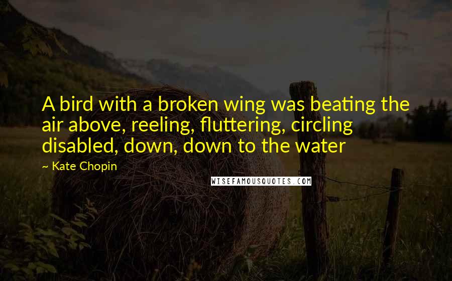 Kate Chopin quotes: A bird with a broken wing was beating the air above, reeling, fluttering, circling disabled, down, down to the water Kate Chopin quotes: A bird with a broken wing was beating the air above, reeling, fluttering, circling disabled, down, down to the water