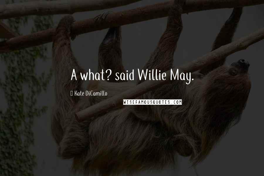 Kate DiCamillo quotes: A what? said Willie May.