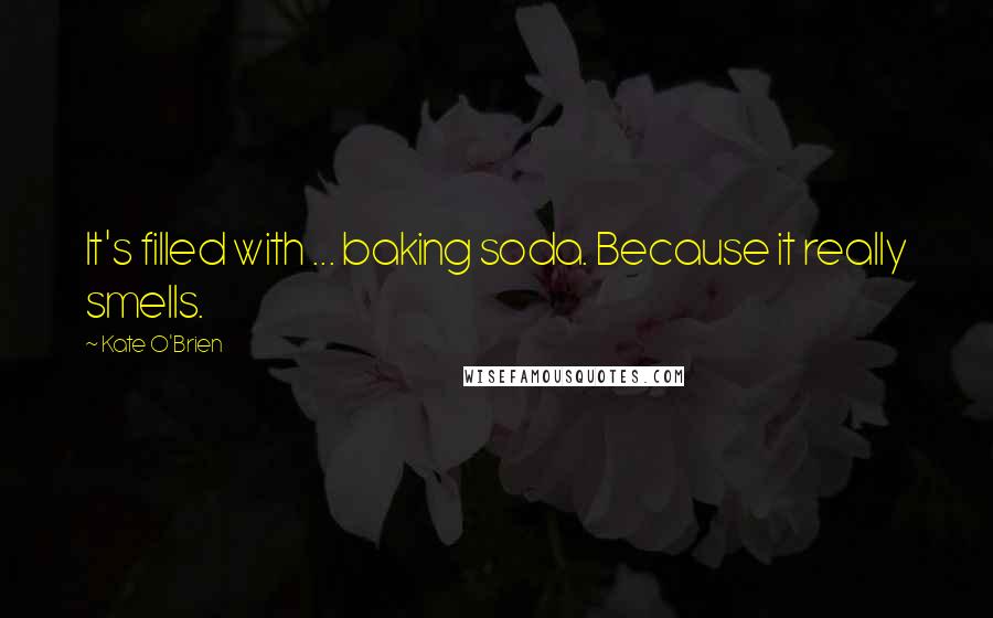 Kate O'Brien quotes: It's filled with ... baking soda. Because it really smells.