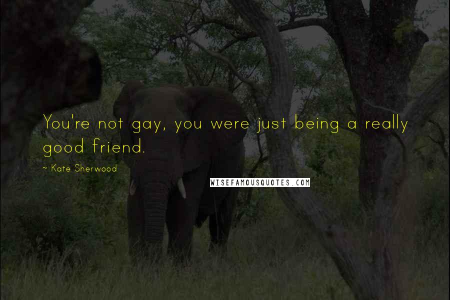 Kate Sherwood quotes: You're not gay, you were just being a really good friend.