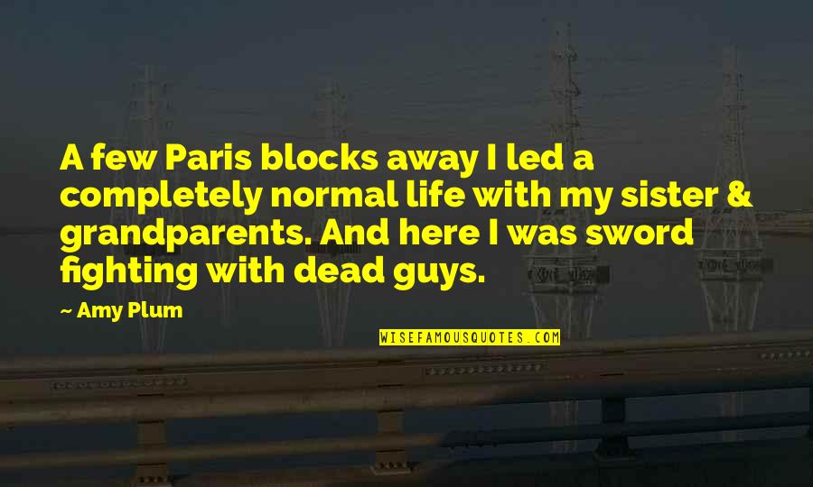 Kate To Sword Quotes By Amy Plum: A few Paris blocks away I led a