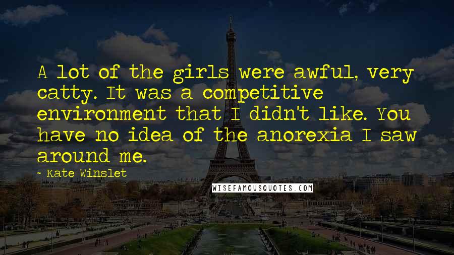 Kate Winslet quotes: A lot of the girls were awful, very catty. It was a competitive environment that I didn't like. You have no idea of the anorexia I saw around me.