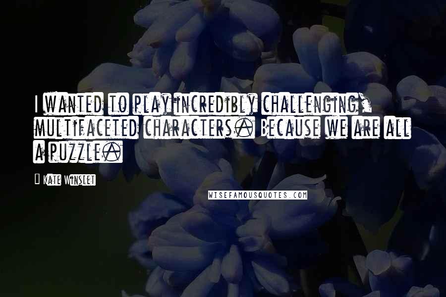 Kate Winslet quotes: I wanted to play incredibly challenging, multifaceted characters. Because we are all a puzzle.