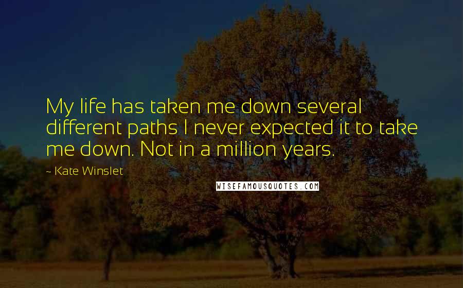 Kate Winslet quotes: My life has taken me down several different paths I never expected it to take me down. Not in a million years.