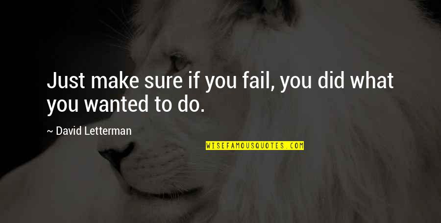 Kathe Kollwitz Quotes By David Letterman: Just make sure if you fail, you did