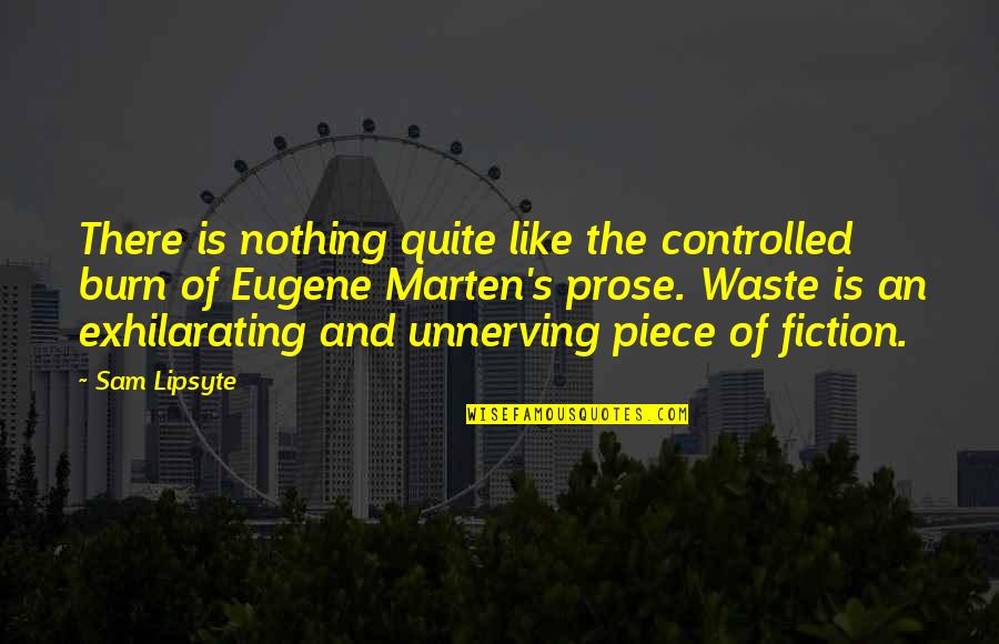 Kathe Wunnenberg Quotes By Sam Lipsyte: There is nothing quite like the controlled burn Kathe Wunnenberg Quotes By Sam Lipsyte: There is nothing quite like the controlled burn