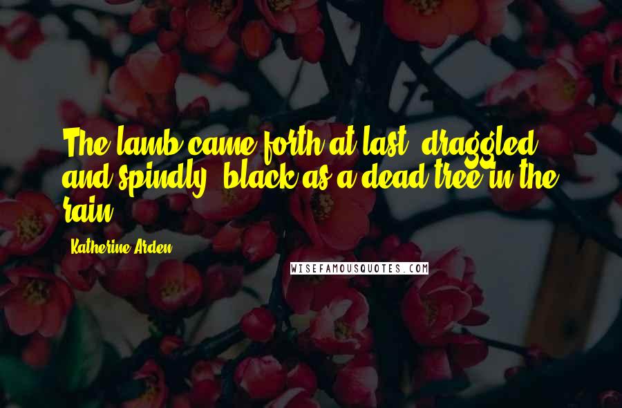 Katherine Arden quotes: The lamb came forth at last, draggled and spindly, black as a dead tree in the rain. Katherine Arden quotes: The lamb came forth at last, draggled and spindly, black as a dead tree in the rain.