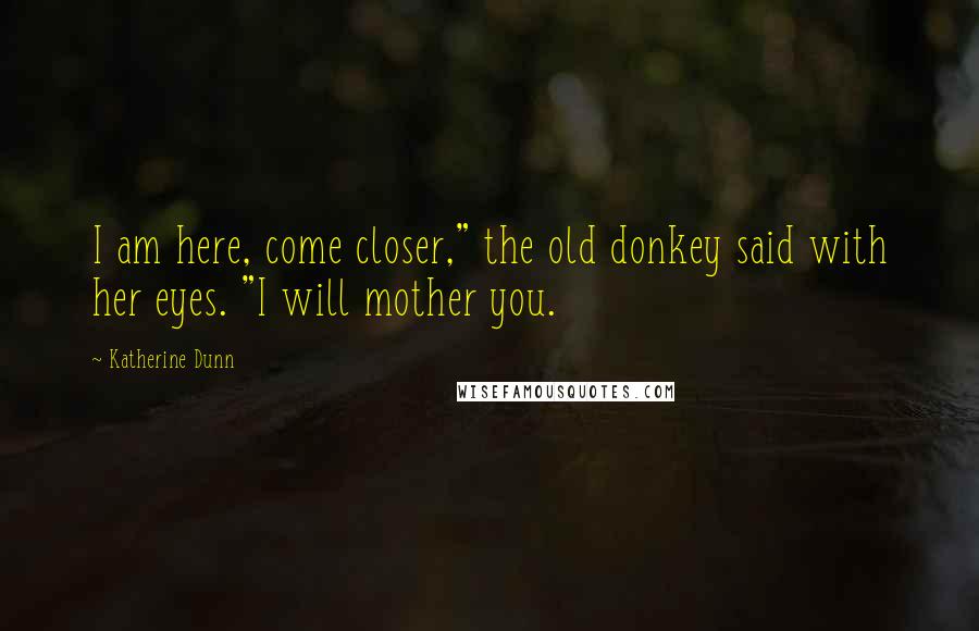 Katherine Dunn quotes: I am here, come closer," the old donkey said with her eyes. "I will mother you.