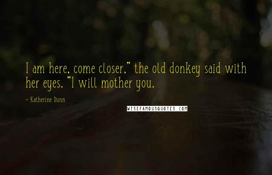 Katherine Dunn quotes: I am here, come closer," the old donkey said with her eyes. "I will mother you. Katherine Dunn quotes: I am here, come closer," the old donkey said with her eyes. "I will mother you.