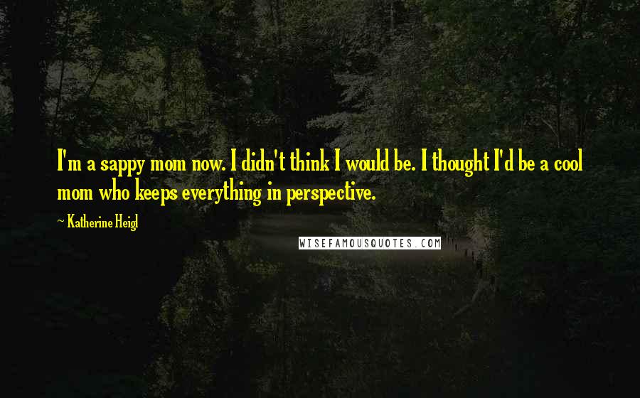 Katherine Heigl quotes: I'm a sappy mom now. I didn't think I would be. I thought I'd be a cool mom who keeps everything in perspective.