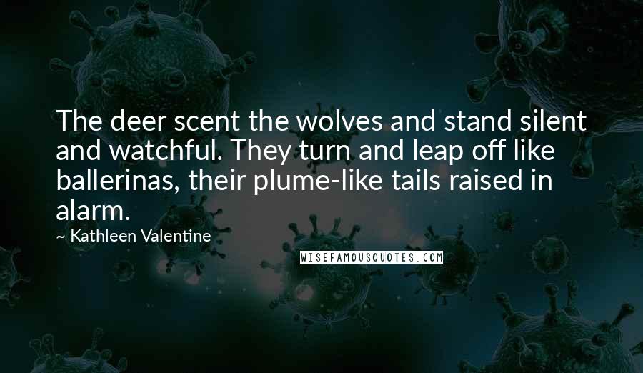 Kathleen Valentine quotes: The deer scent the wolves and stand silent and watchful. They turn and leap off like ballerinas, their plume-like tails raised in alarm.