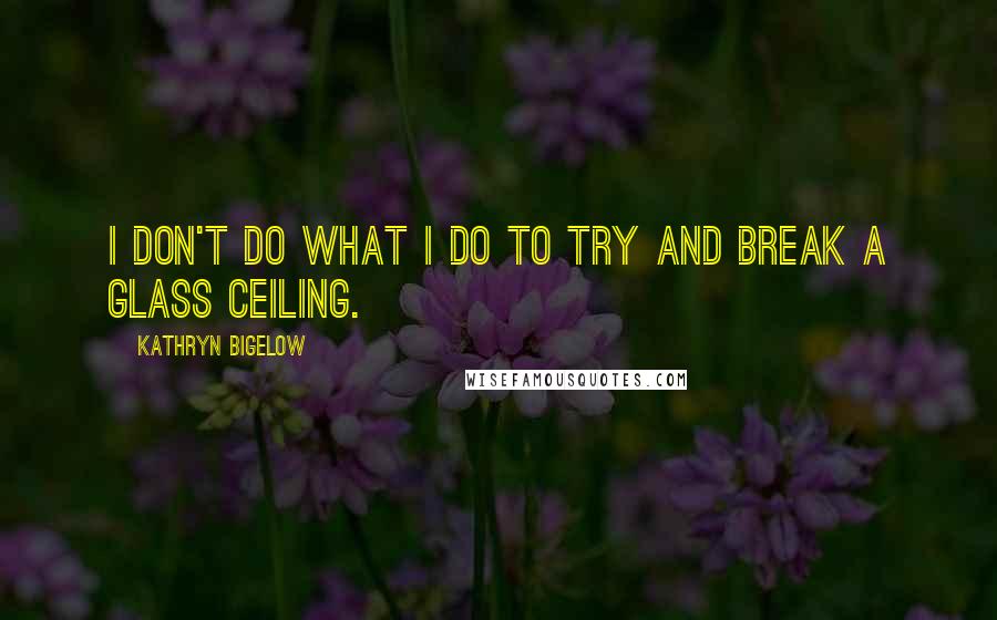 Kathryn Bigelow quotes: I don't do what I do to try and break a glass ceiling.