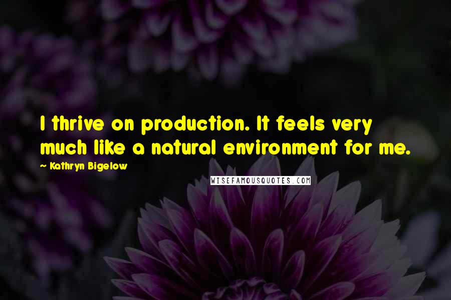 Kathryn Bigelow quotes: I thrive on production. It feels very much like a natural environment for me.