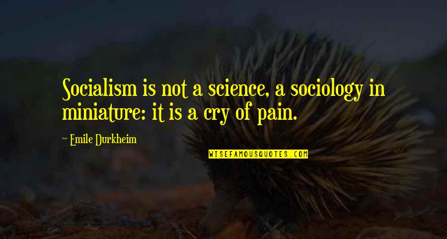 Kathy Troccoli Quotes By Emile Durkheim: Socialism is not a science, a sociology in