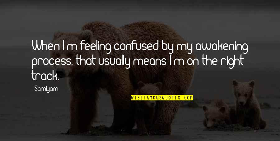 Katica Tanya Quotes By Samiyam: When I'm feeling confused by my awakening process, Katica Tanya Quotes By Samiyam: When I'm feeling confused by my awakening process,