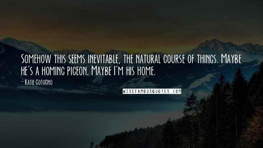 Katie Cotugno quotes: Somehow this seems inevitable, the natural course of things. Maybe he's a homing pigeon. Maybe I'm his home.