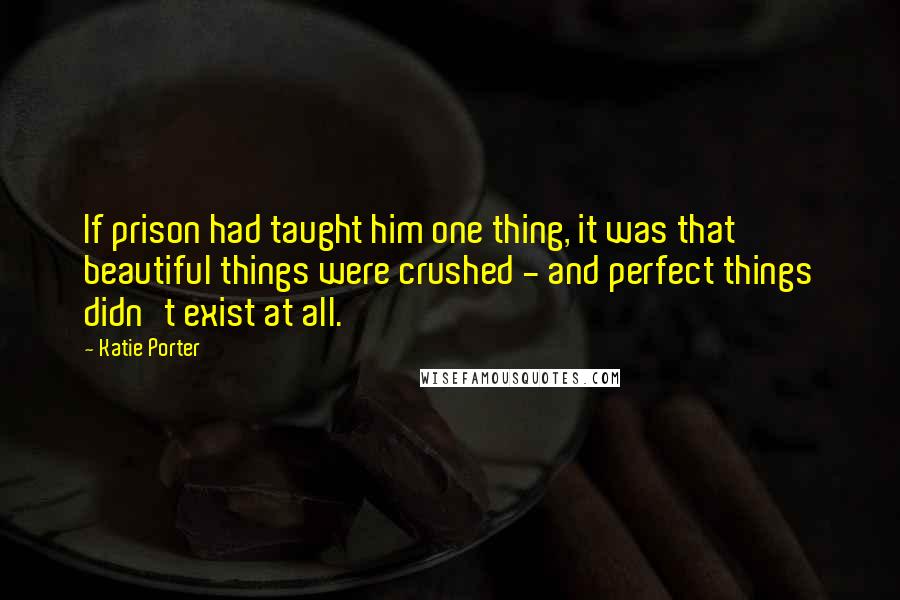 Katie Porter quotes: If prison had taught him one thing, it was that beautiful things were crushed - and perfect things didn't exist at all.