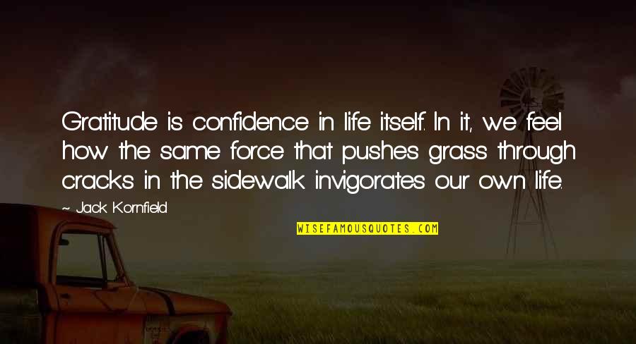 Katleman Kicker Quotes By Jack Kornfield: Gratitude is confidence in life itself. In it,