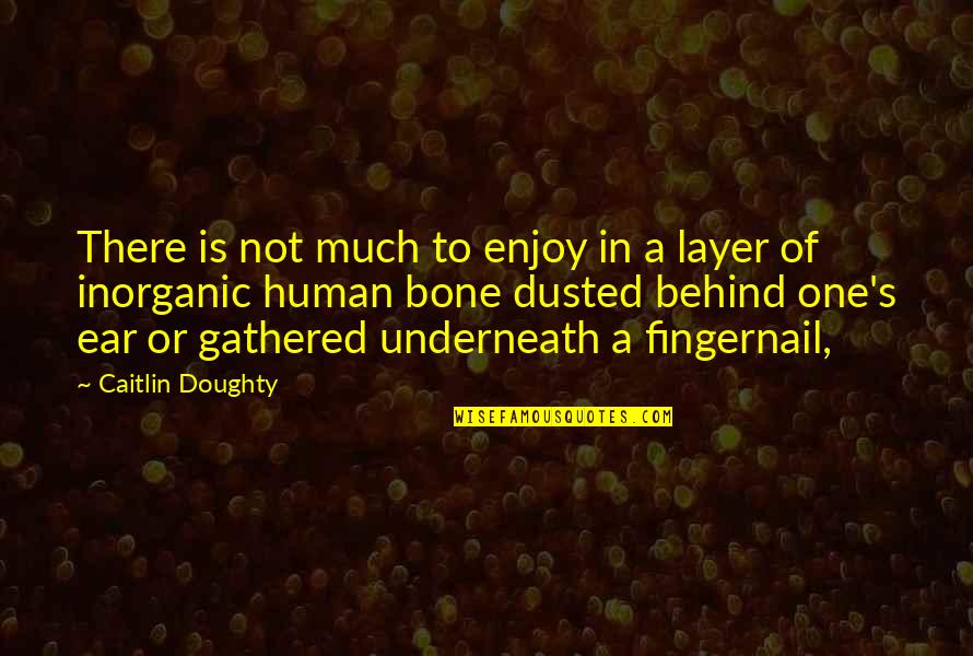 Katonk Quotes By Caitlin Doughty: There is not much to enjoy in a Katonk Quotes By Caitlin Doughty: There is not much to enjoy in a