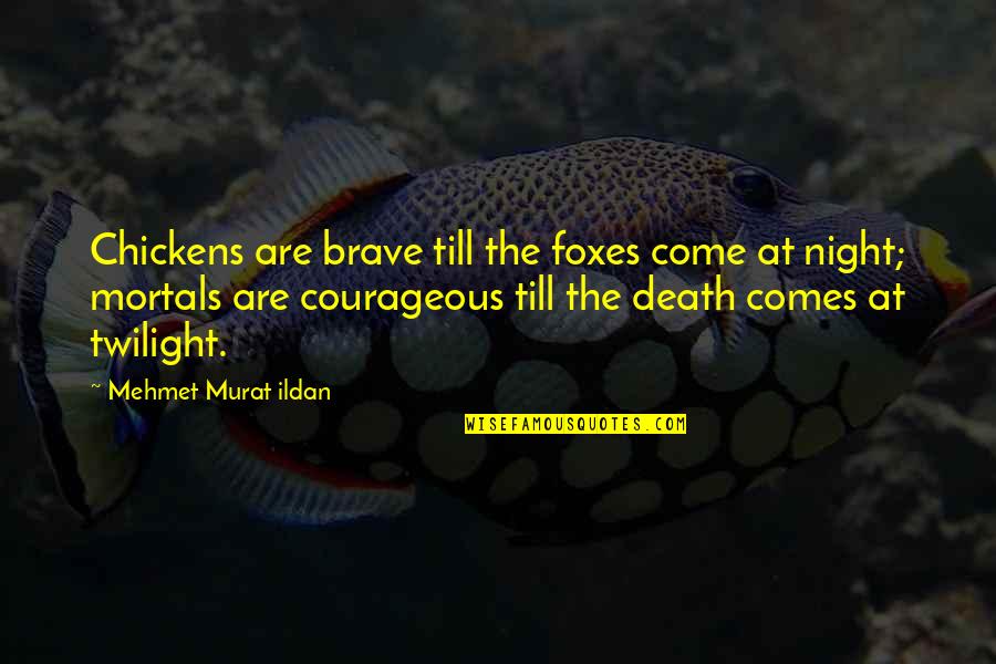 Katrinski Tango Quotes By Mehmet Murat Ildan: Chickens are brave till the foxes come at Katrinski Tango Quotes By Mehmet Murat Ildan: Chickens are brave till the foxes come at