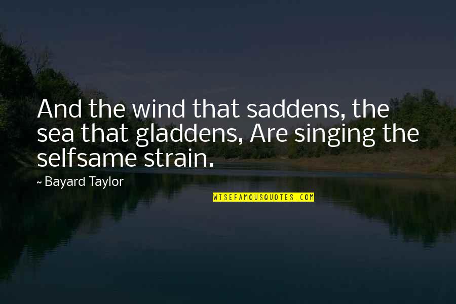 Katsina Quotes By Bayard Taylor: And the wind that saddens, the sea that
