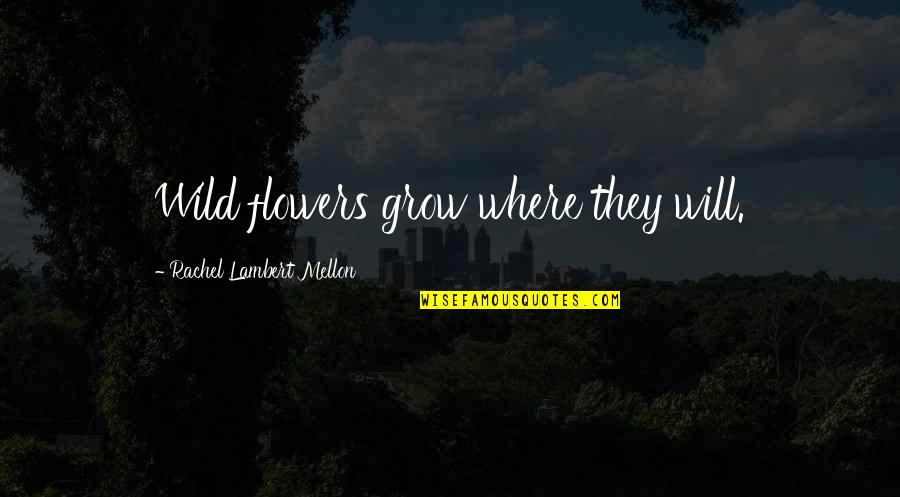 Katsuyama Kamon Quotes By Rachel Lambert Mellon: Wild flowers grow where they will. Katsuyama Kamon Quotes By Rachel Lambert Mellon: Wild flowers grow where they will.