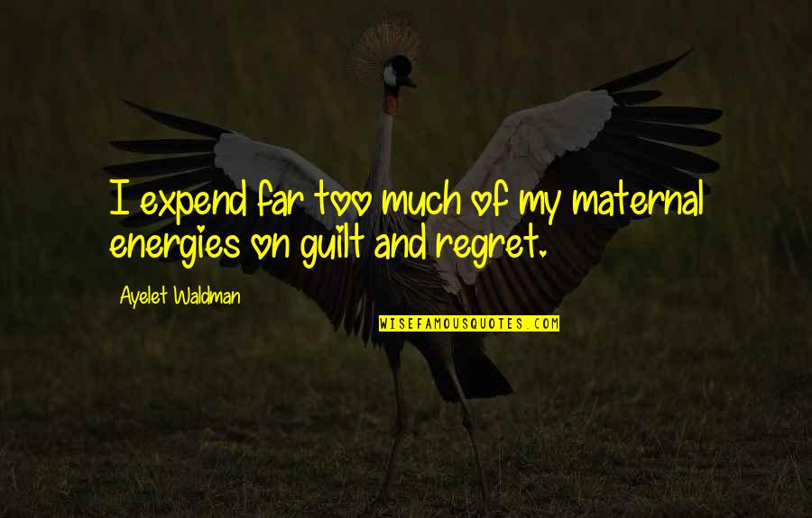 Kattus Pro Quotes By Ayelet Waldman: I expend far too much of my maternal