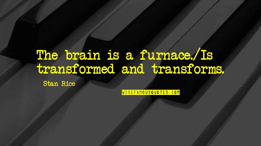 Katusa Rank Quotes By Stan Rice: The brain is a furnace./Is transformed and transforms.