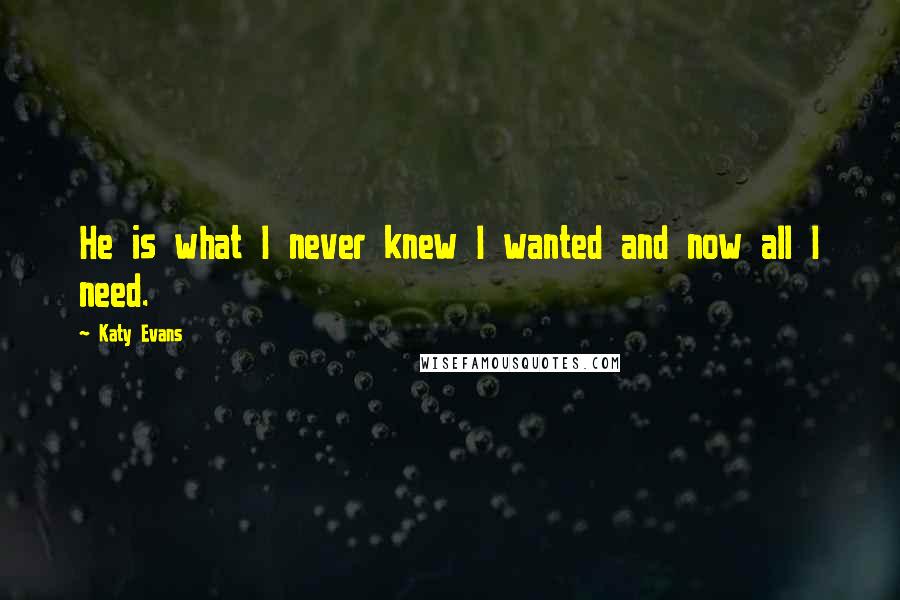 Katy Evans quotes: He is what I never knew I wanted and now all I need.