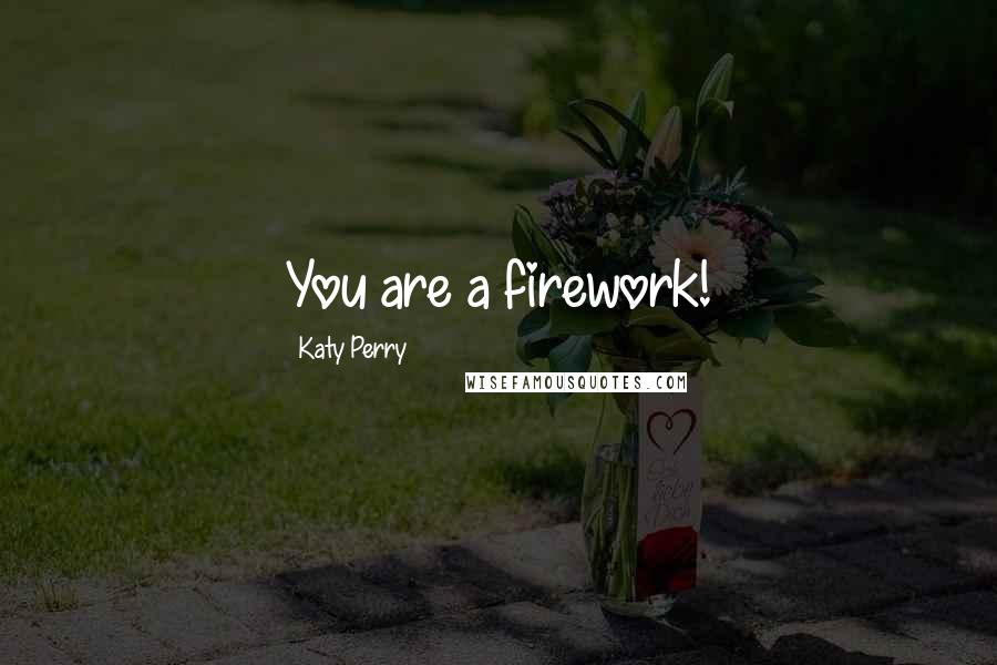 Katy Perry quotes: You are a firework!
