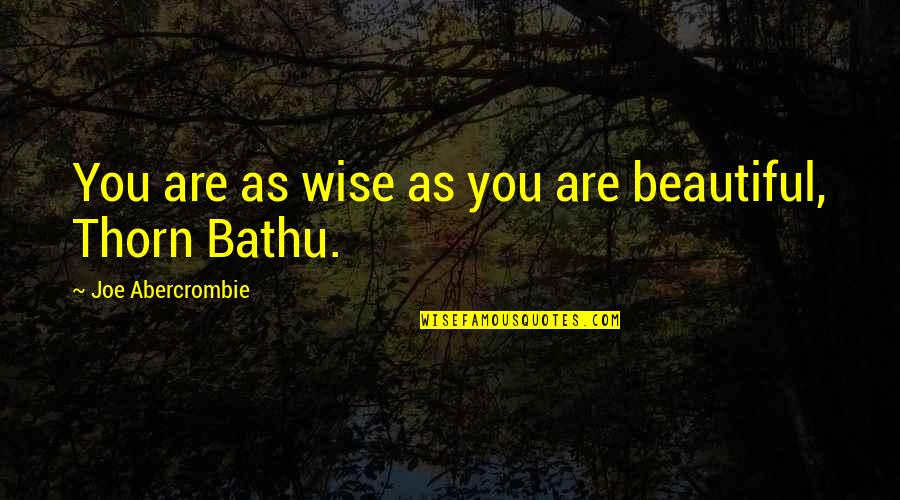 Kauderers Dairy Quotes By Joe Abercrombie: You are as wise as you are beautiful, Kauderers Dairy Quotes By Joe Abercrombie: You are as wise as you are beautiful,