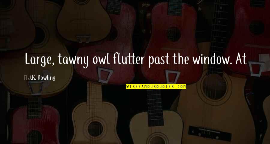 Kaufmann Font Quotes By J.K. Rowling: Large, tawny owl flutter past the window. At