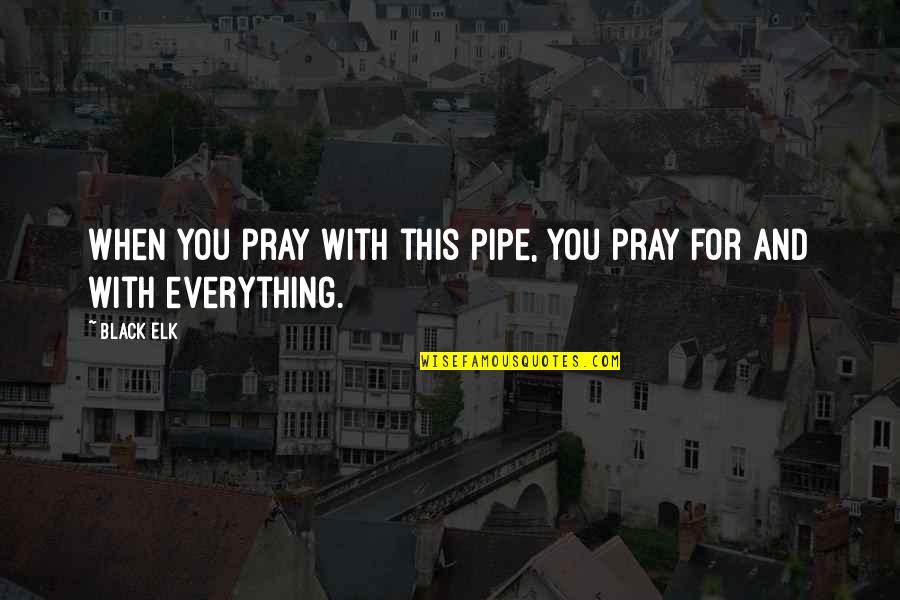 Kaulai 1 Quotes By Black Elk: When you pray with this pipe, you pray