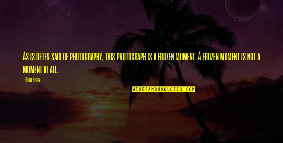 Kaumudi Quotes By Roni Horn: As is often said of photography, this photograph