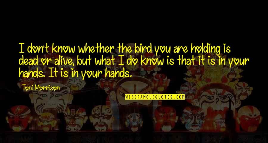 Kauppi Kustom Quotes By Toni Morrison: I don't know whether the bird you are Kauppi Kustom Quotes By Toni Morrison: I don't know whether the bird you are