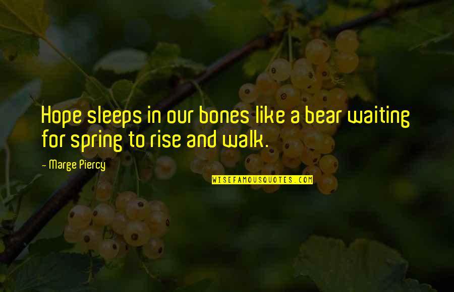Kaupuni Quotes By Marge Piercy: Hope sleeps in our bones like a bear