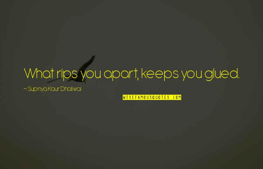 Kaur Quotes By Supriya Kaur Dhaliwal: What rips you apart, keeps you glued.