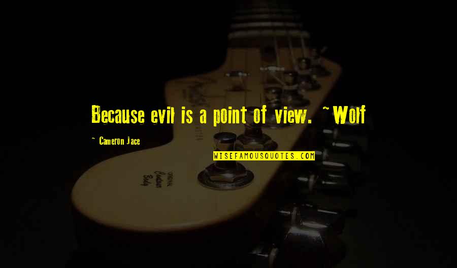 Kavalaris Hotel Quotes By Cameron Jace: Because evil is a point of view. ~Wolf Kavalaris Hotel Quotes By Cameron Jace: Because evil is a point of view. ~Wolf
