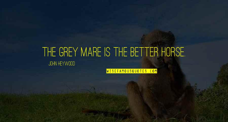 Kavaler Perlow Quotes By John Heywood: The grey mare is the better horse. Kavaler Perlow Quotes By John Heywood: The grey mare is the better horse.