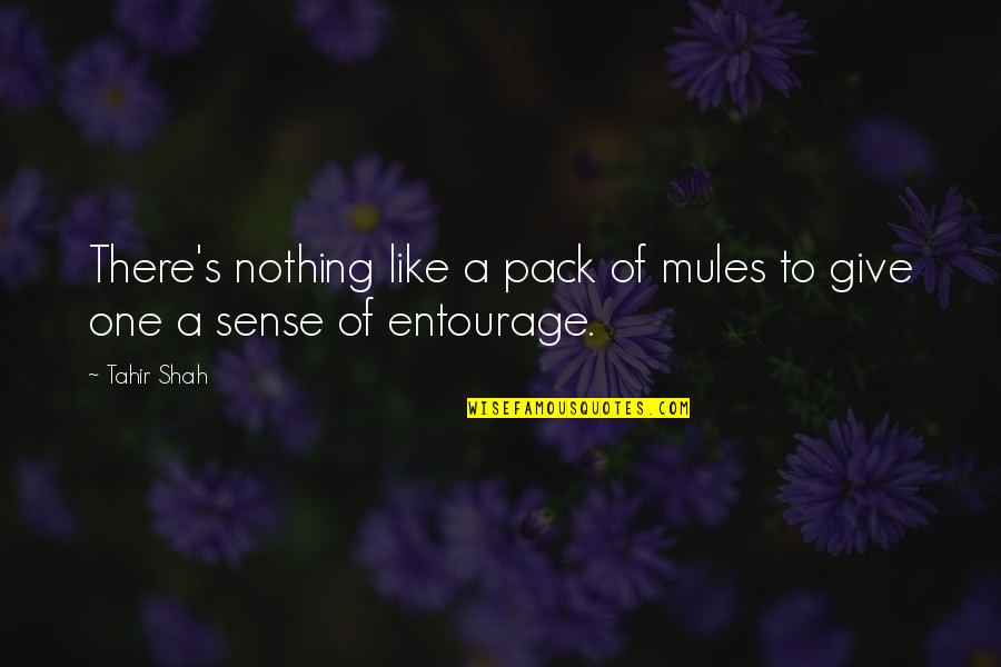 Kavaleri Quotes By Tahir Shah: There's nothing like a pack of mules to