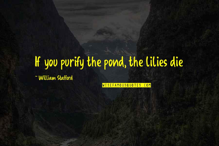Kavax Au Telemanus Quotes By William Stafford: If you purify the pond, the lilies die Kavax Au Telemanus Quotes By William Stafford: If you purify the pond, the lilies die
