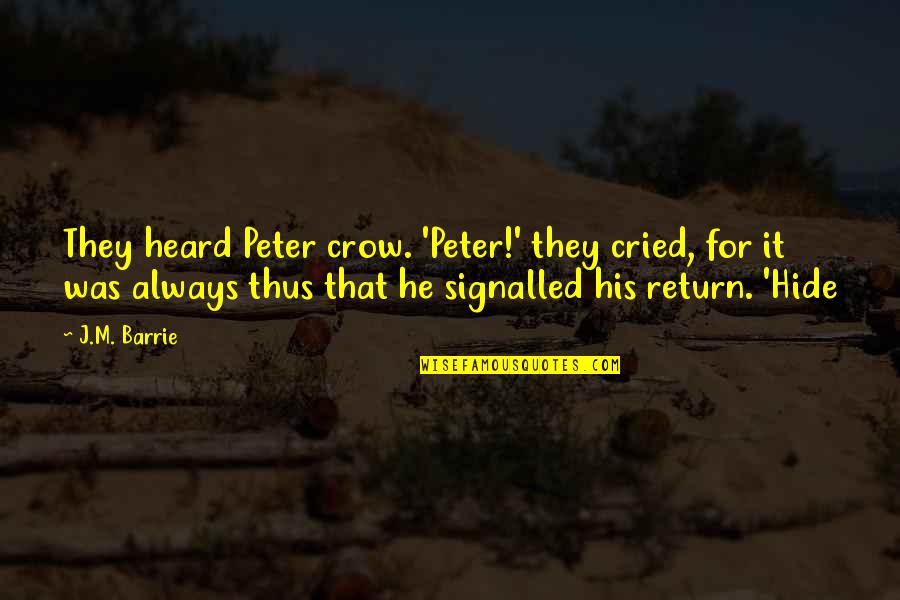 Kawachiya Liquor Quotes By J.M. Barrie: They heard Peter crow. 'Peter!' they cried, for Kawachiya Liquor Quotes By J.M. Barrie: They heard Peter crow. 'Peter!' they cried, for