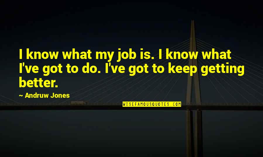 Kawamitsu Family Quotes By Andruw Jones: I know what my job is. I know